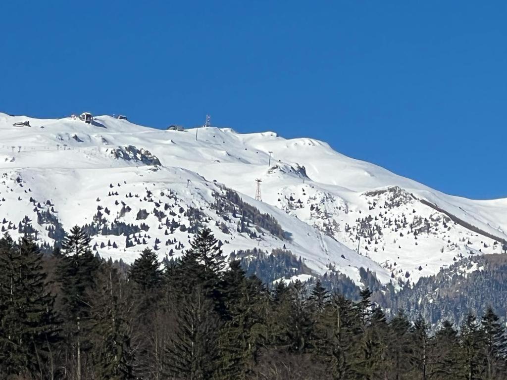 Coca Apart Mountain View Sinaia Exterior photo