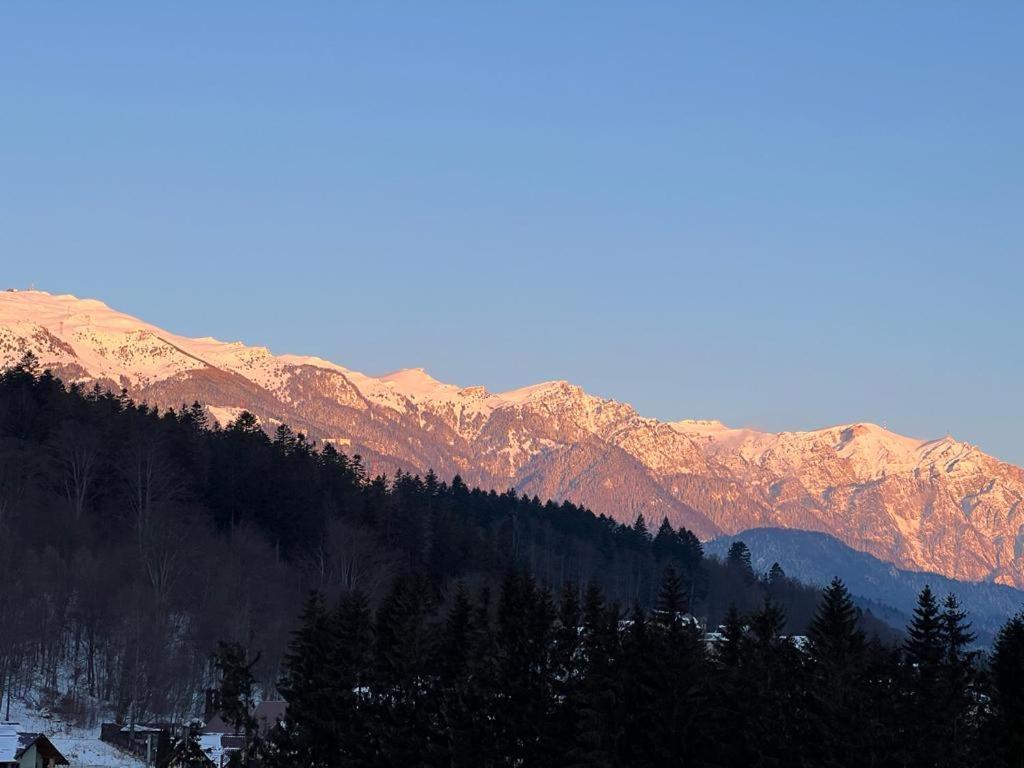 Coca Apart Mountain View Sinaia Exterior photo