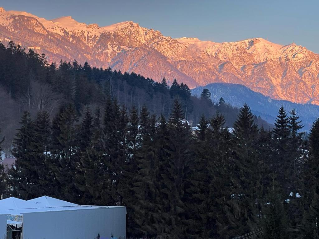 Coca Apart Mountain View Sinaia Exterior photo