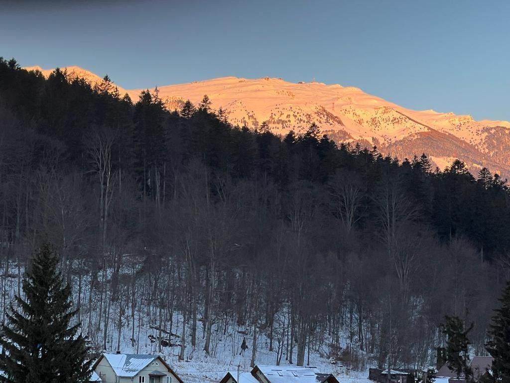 Coca Apart Mountain View Sinaia Exterior photo
