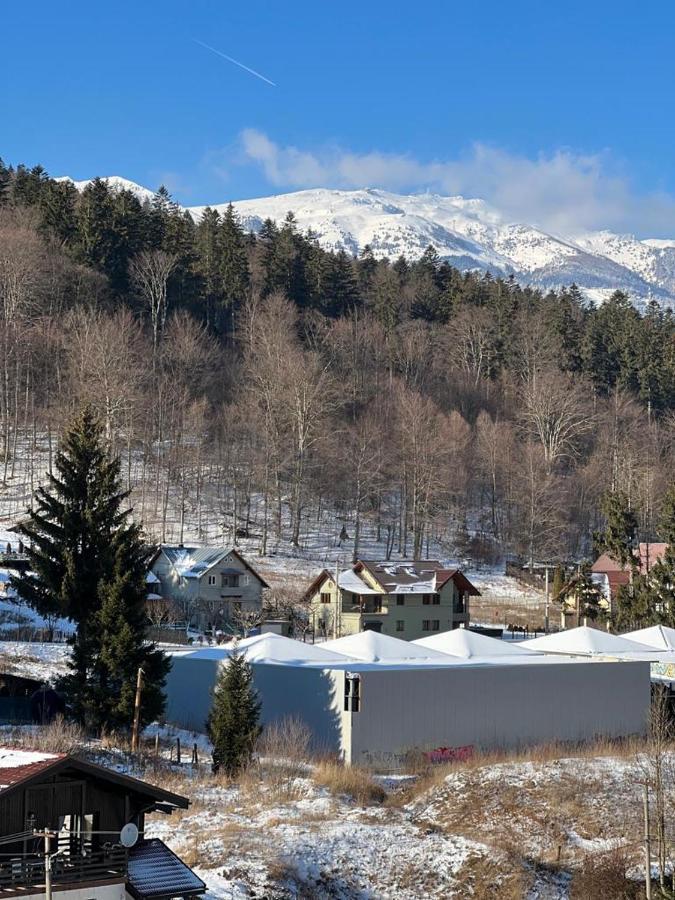 Coca Apart Mountain View Sinaia Exterior photo