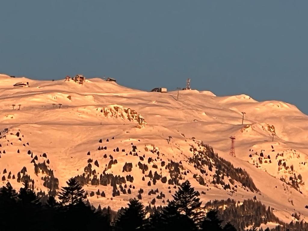 Coca Apart Mountain View Sinaia Exterior photo