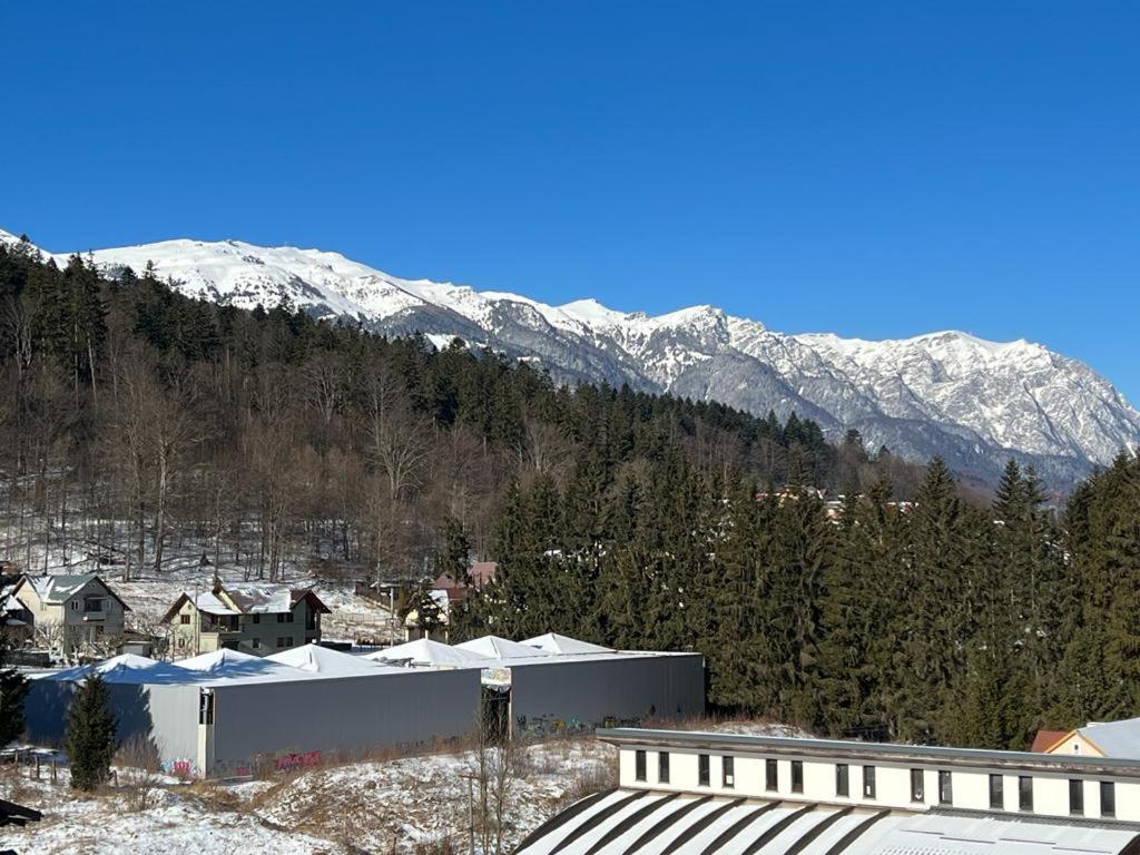 Coca Apart Mountain View Sinaia Exterior photo