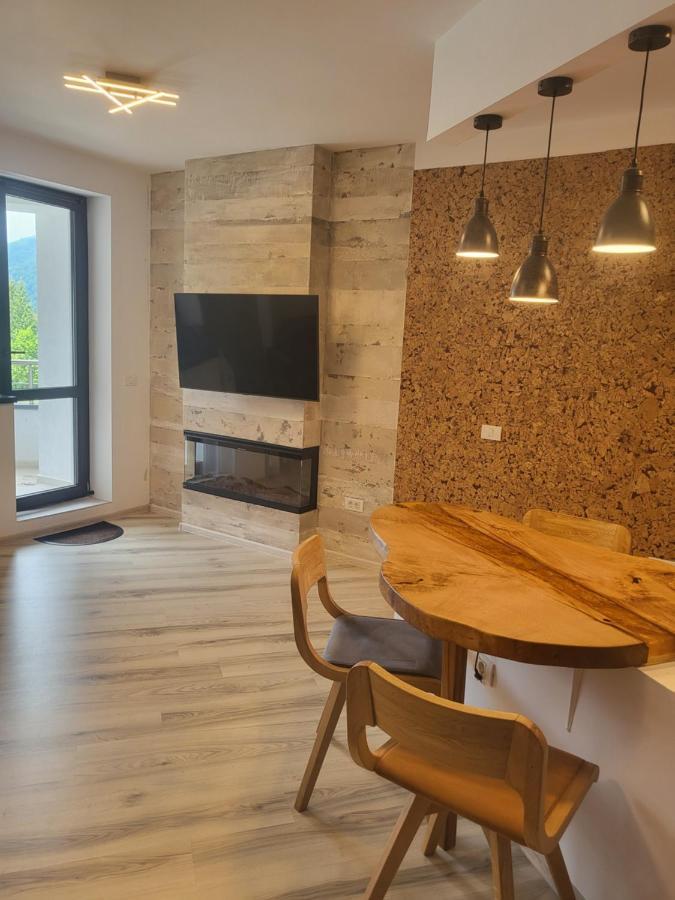 Coca Apart Mountain View Sinaia Exterior photo